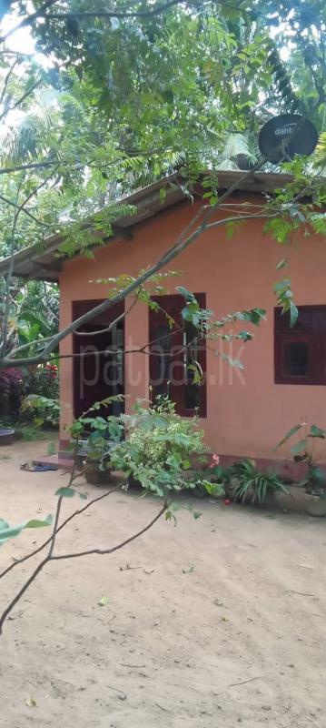 House for Sale in Panadura ads-image-1