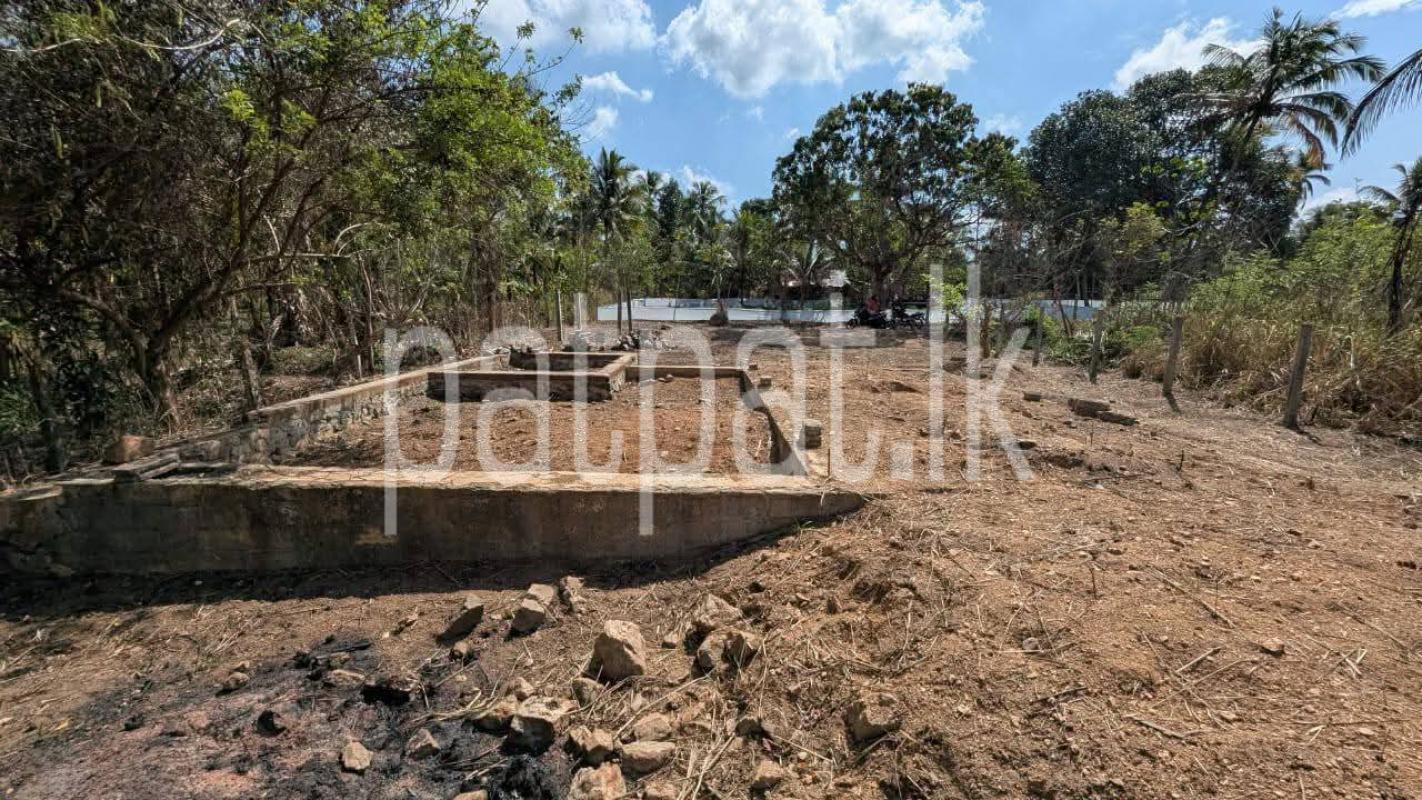 Residential Land for Sale in Giriulla