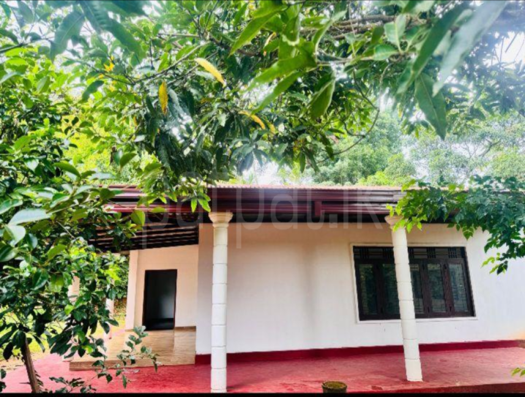 House for Sale in Mirigama ads-image-1