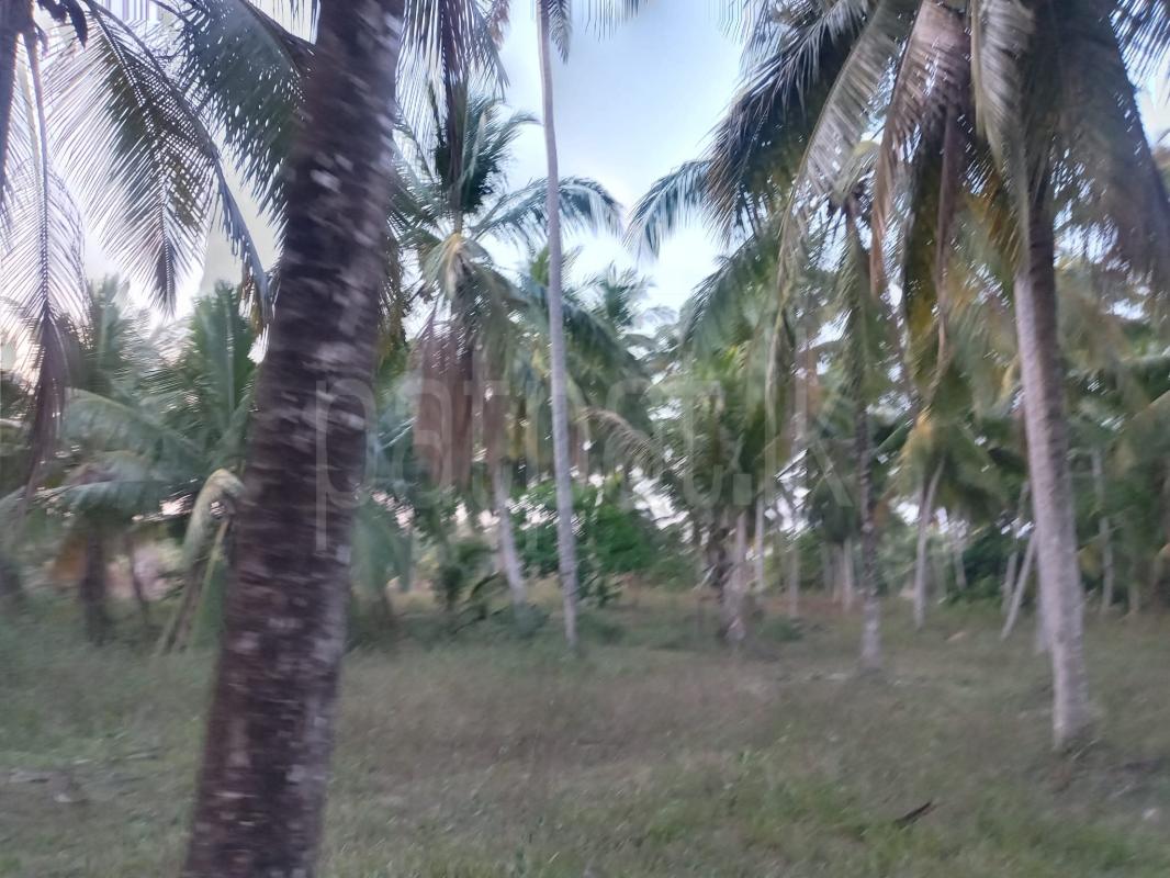 Agricultural Land for Sale in Wariyapola