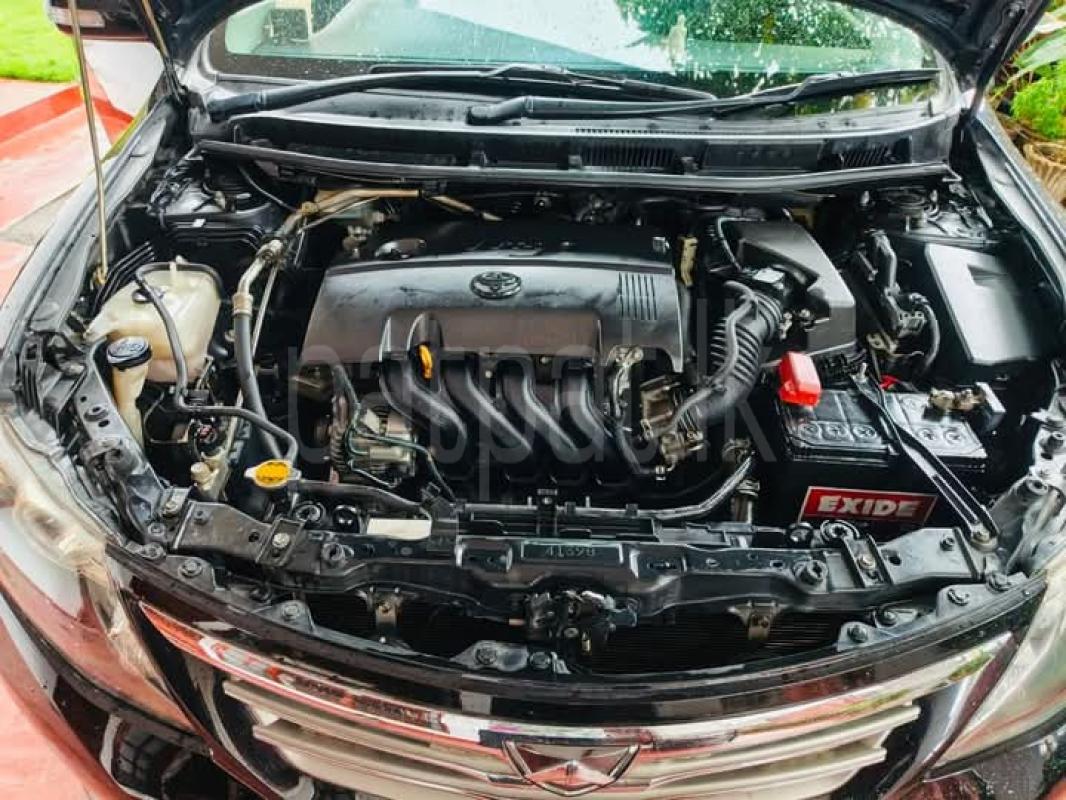 Advertisement image 6