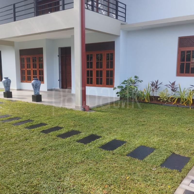 House for Rent in Mount Lavinia