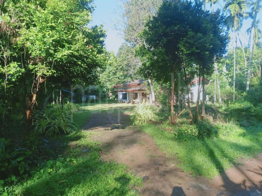 House for Sale in Pugoda