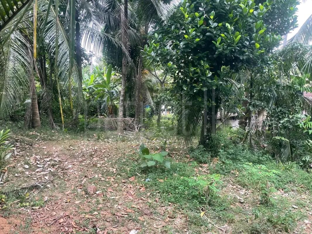 Residential Land for Sale in Ridigama