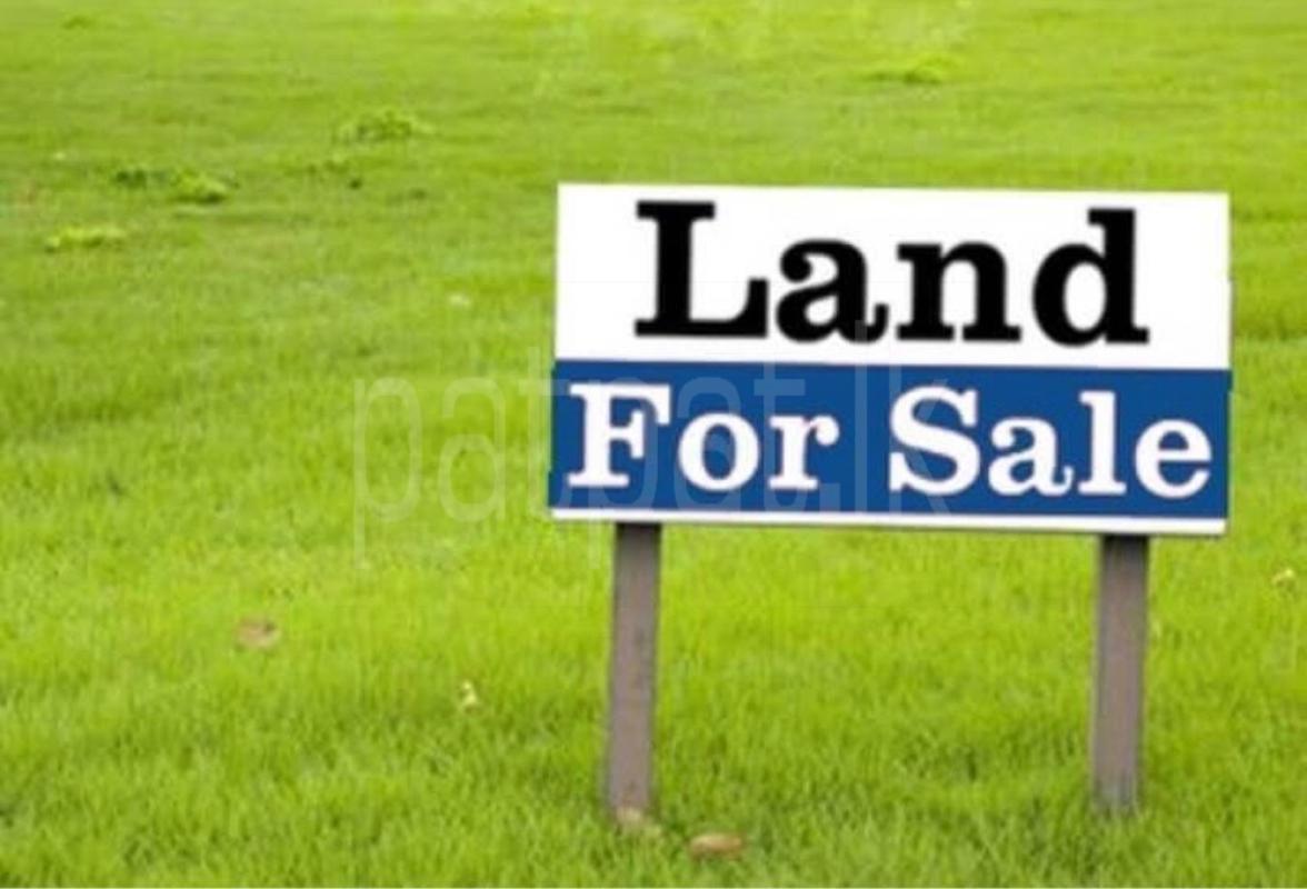 Residential Land for Sale in Anuradhapura