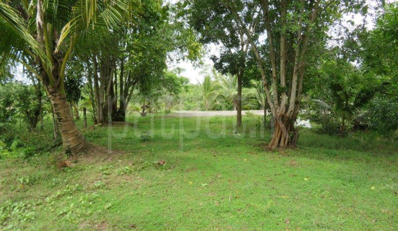Residential Land for Sale in Bopitiya