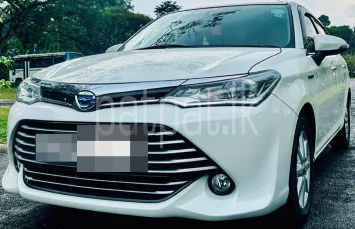 Advertisement image 3