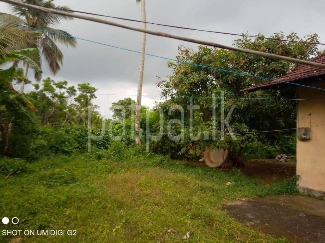 House for Sale in Divulapitiya