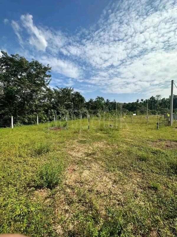 Commercial Land for Sale in Kahathuduwa
