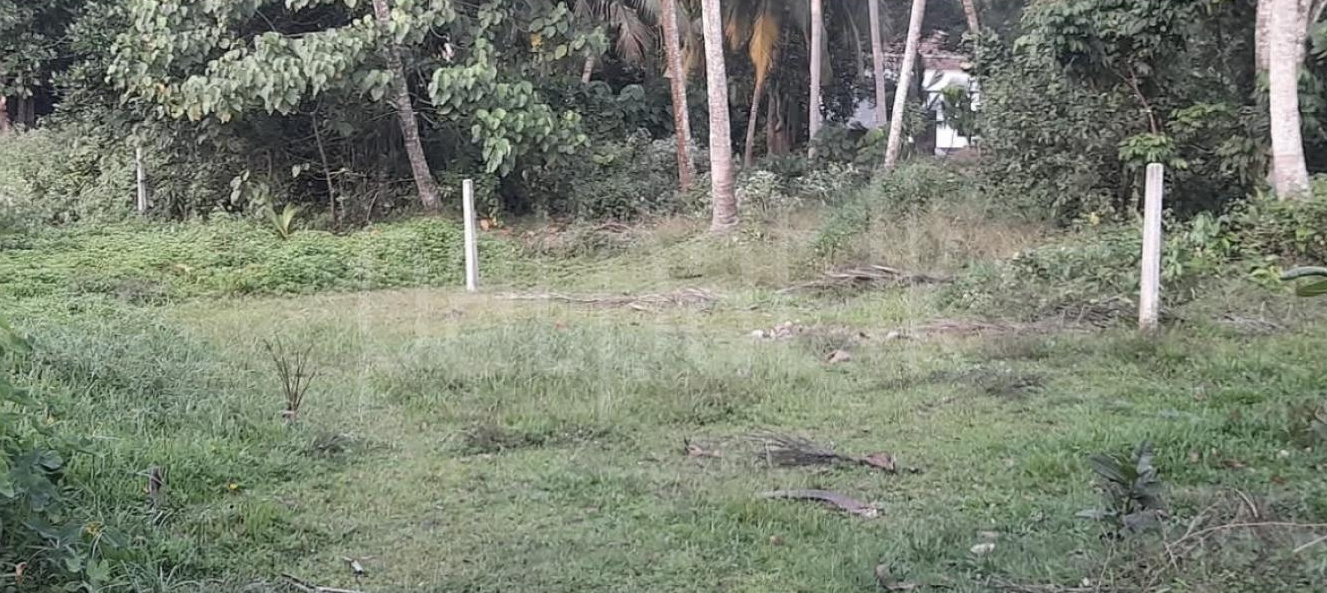 Agricultural Land for Sale in Wanchawela