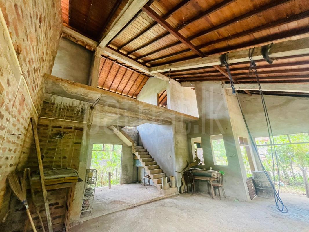 premium-listing-image