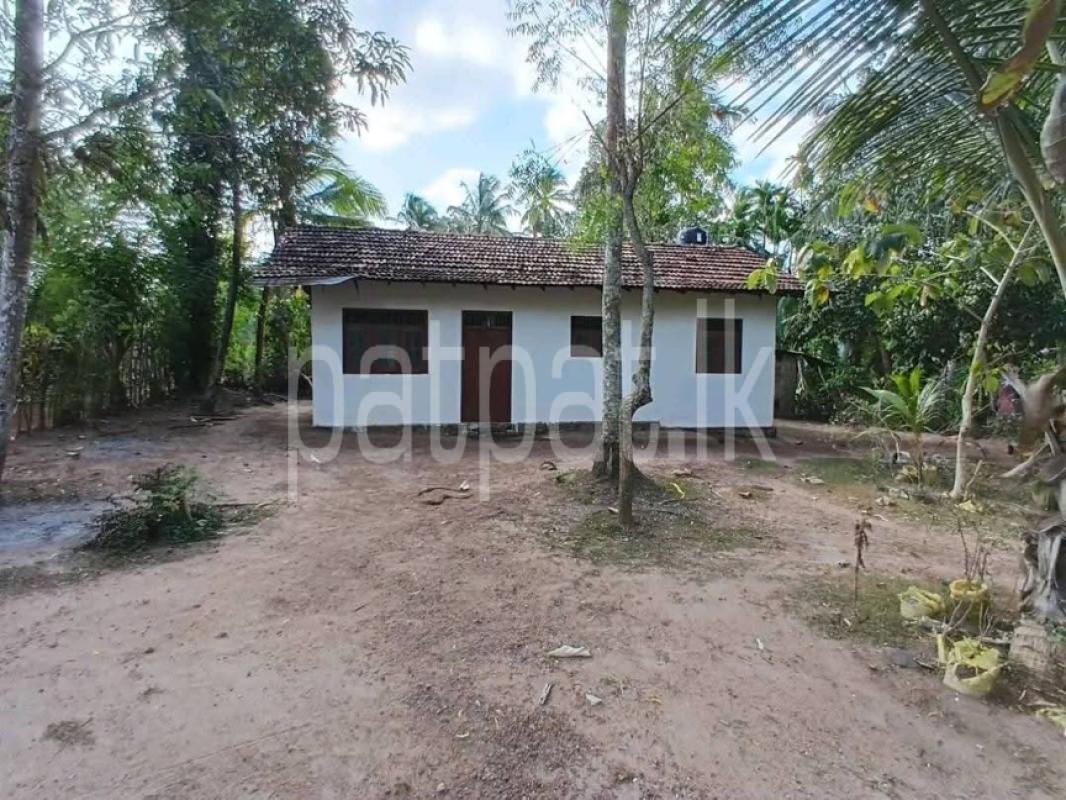 Advertisement image 1