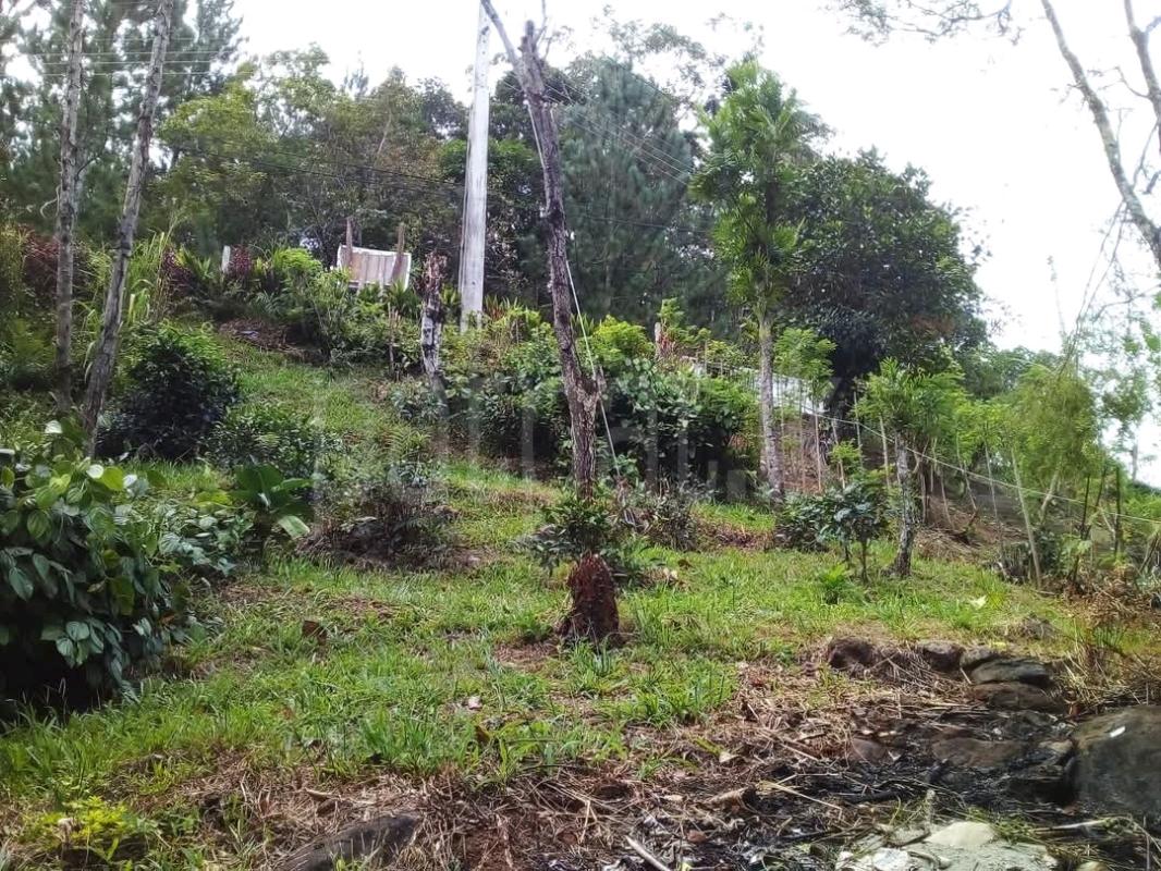 Agricultural Land for Sale in Haputale ads-image-1