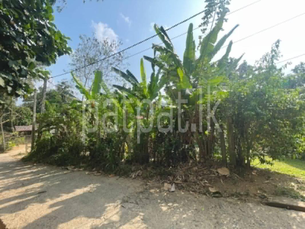 Commercial Land for Sale in Gampola