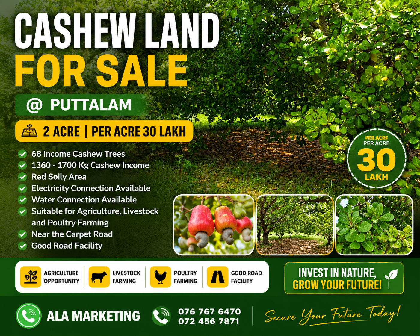 Agricultural Land for Sale in Puttalam
