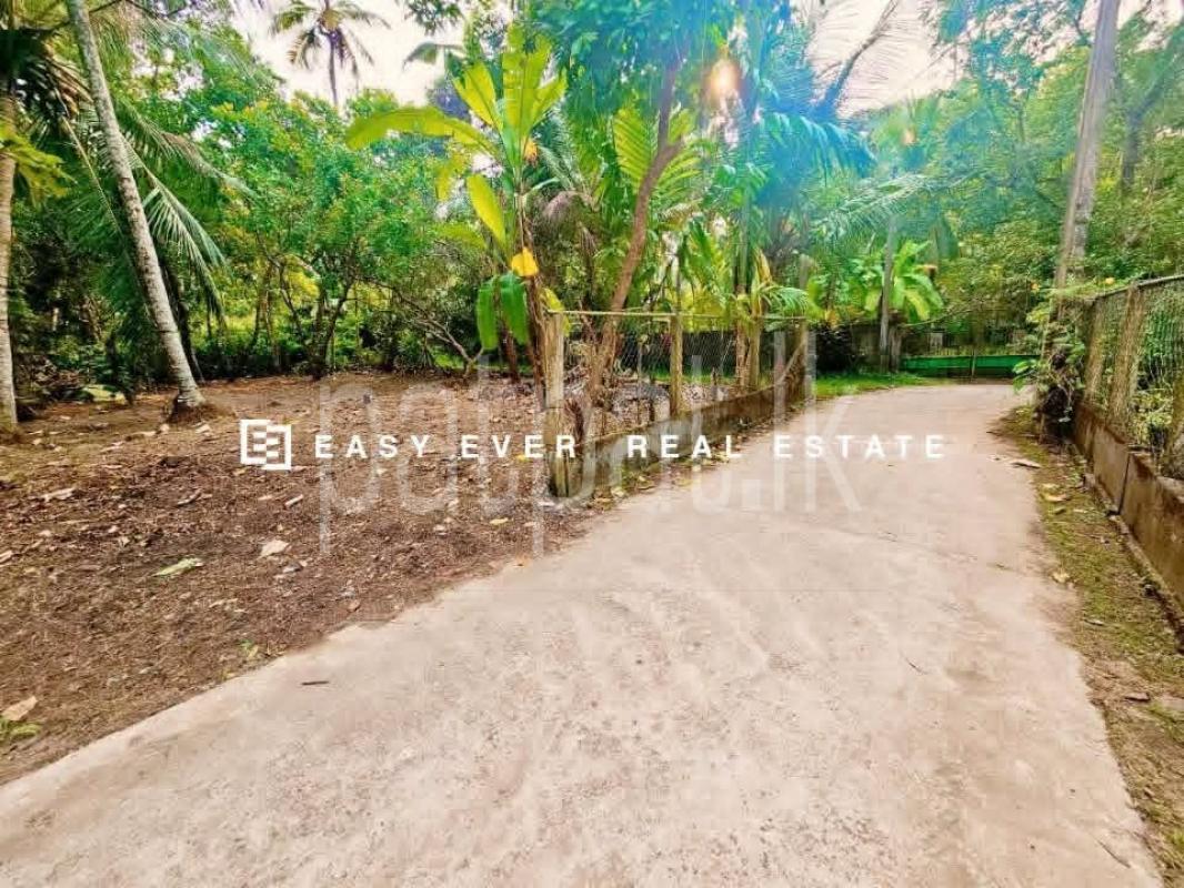 Residential Land for Sale in Makewita