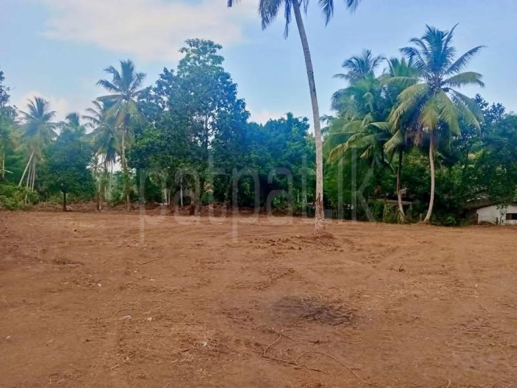 Agricultural Land for Sale in Panadura