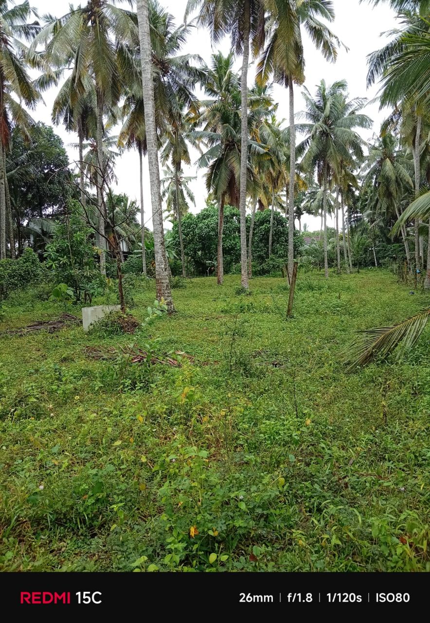 Residential Land for Sale in Nittambuwa