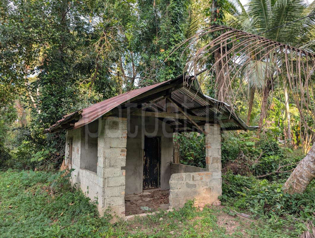 Residential Land for Sale in Divulapitiya