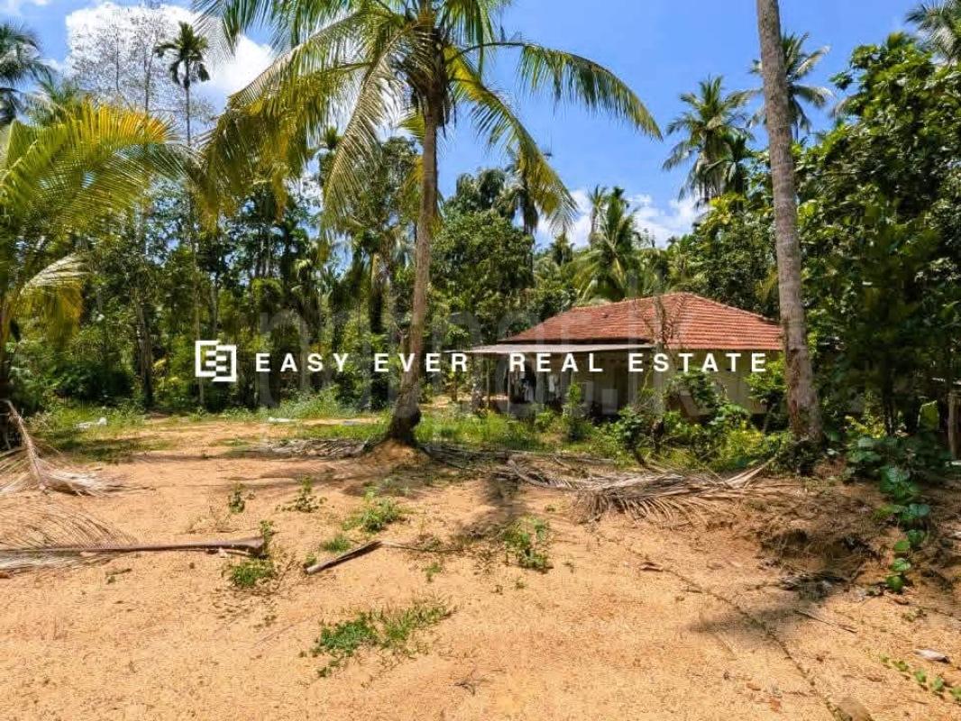 Residential Land for Sale in Yakkala