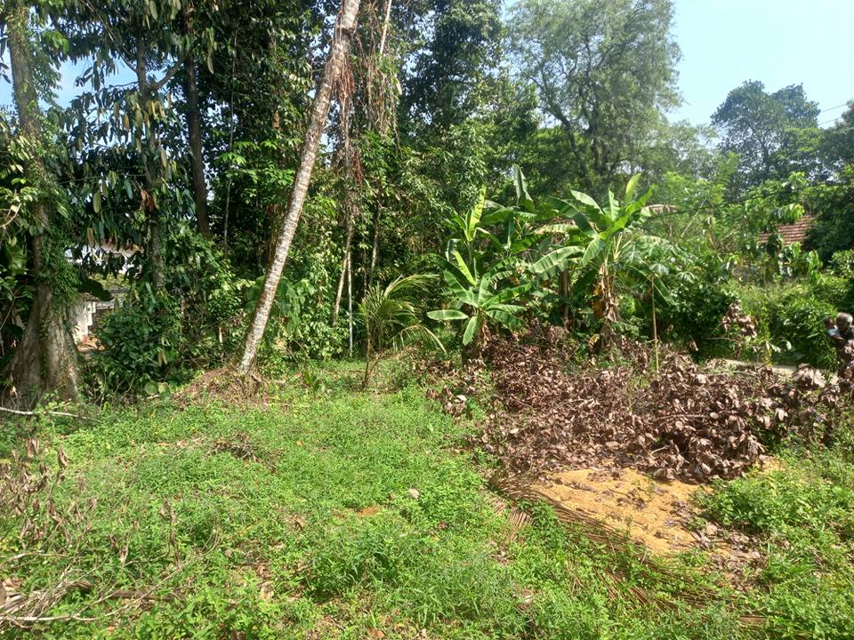 Residential Land for Sale in Horana