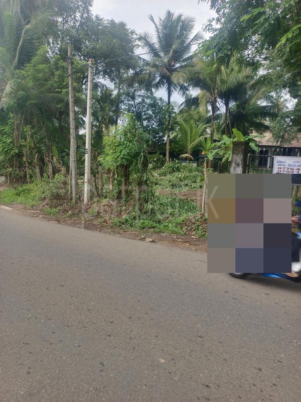 Commercial Land for Sale in Gampaha