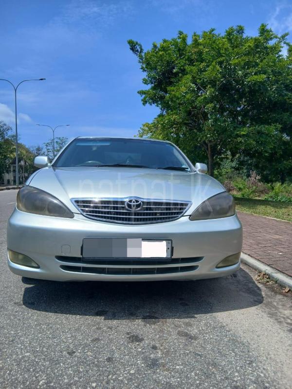 Advertisement image 2