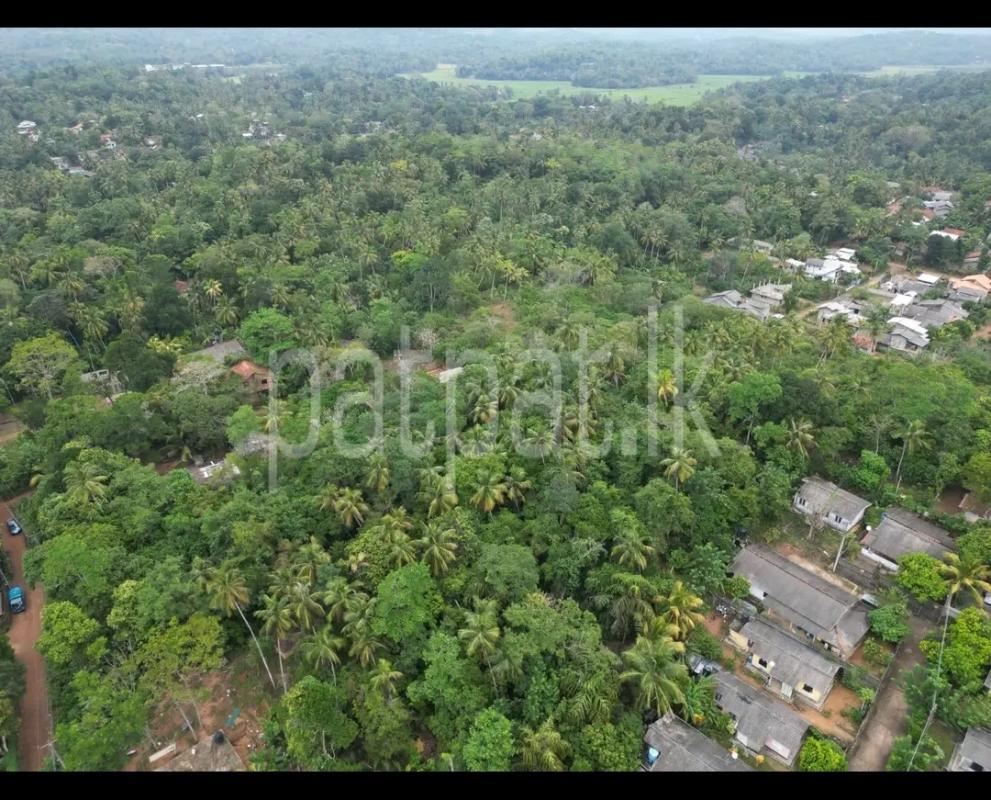 Commercial Land for Sale in Dikwella