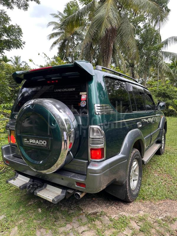 Advertisement image 5