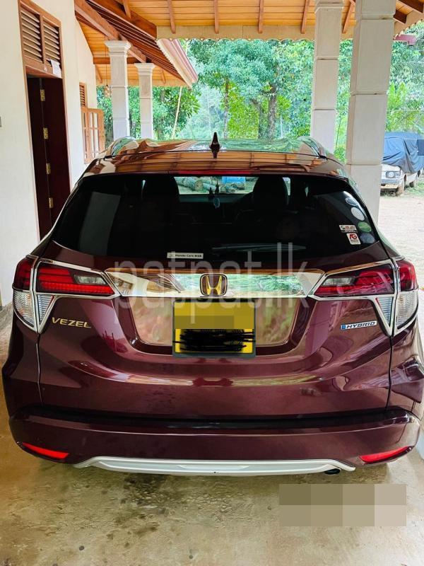 Advertisement image 4