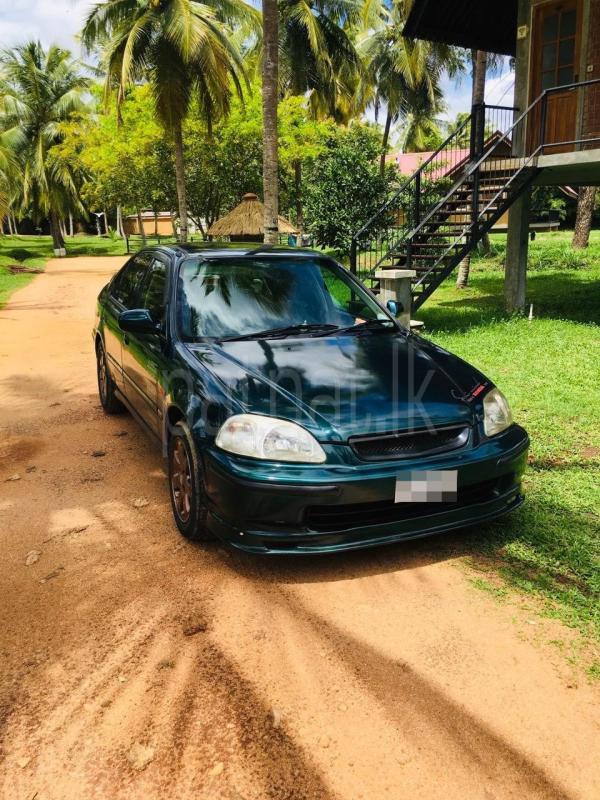 Advertisement image 2