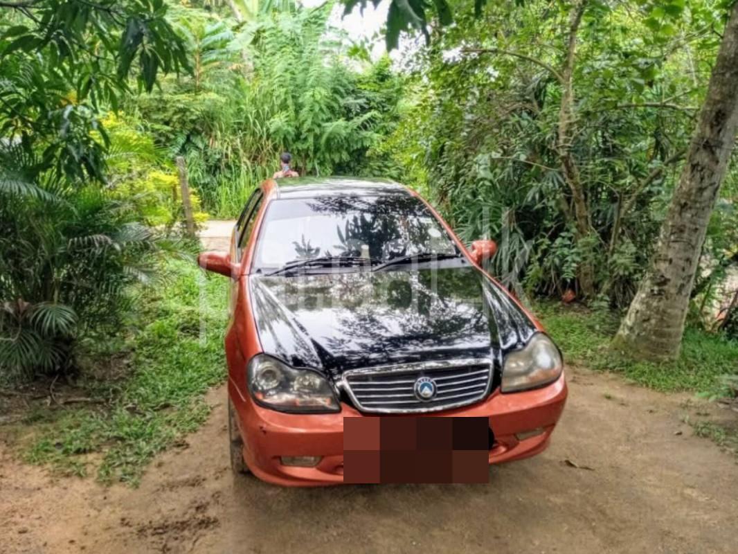 Advertisement image 3