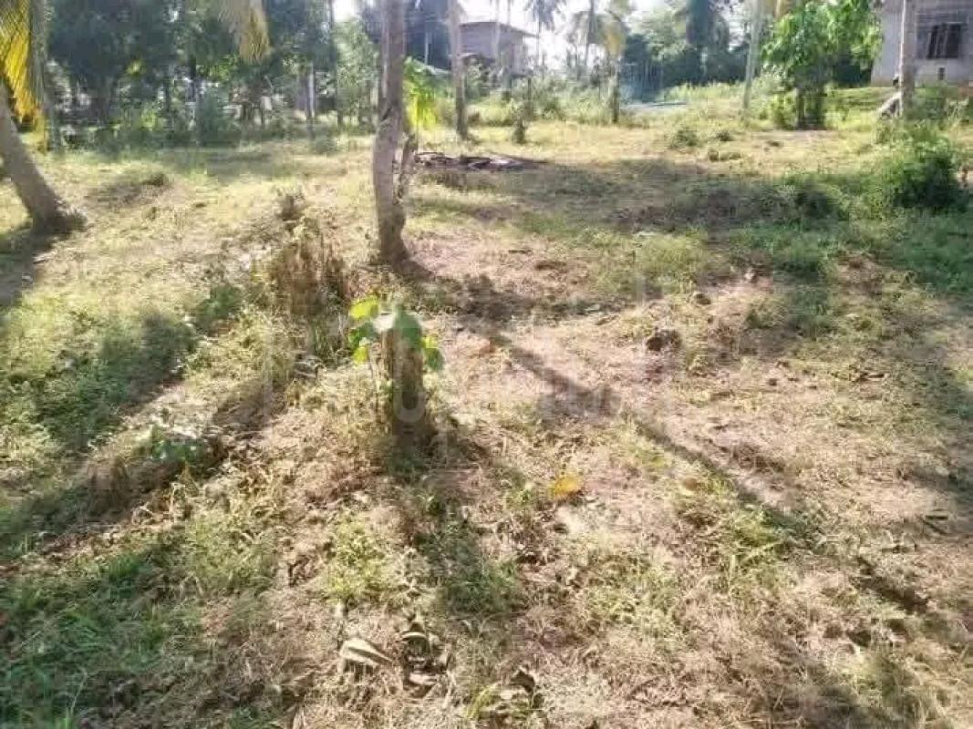 Agricultural Land for Sale in Biyagama