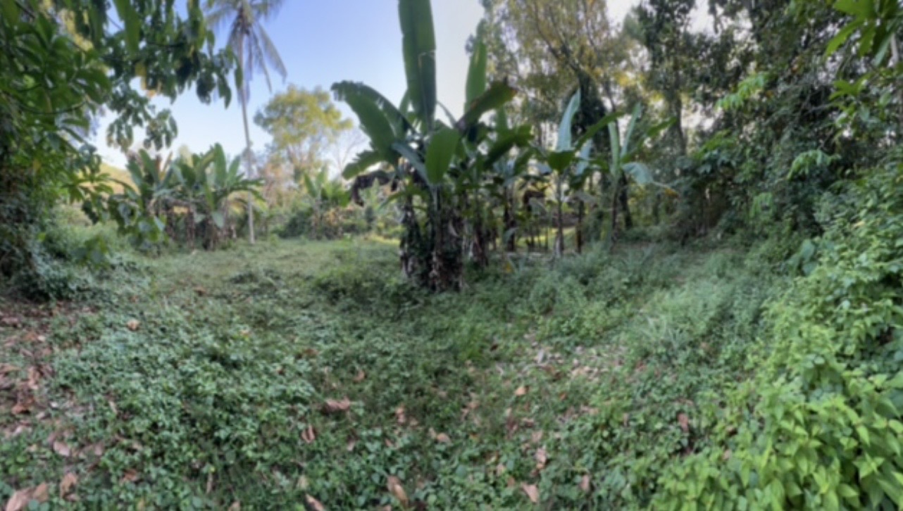 Residential Land for Sale in Kumbuka
