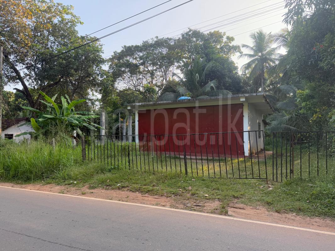 Advertisement image 6