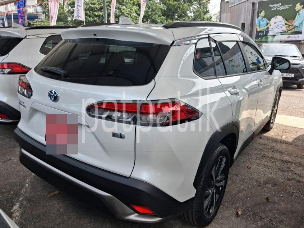 Advertisement image 6