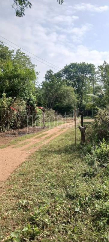 Residential Land for Sale in Kataragama