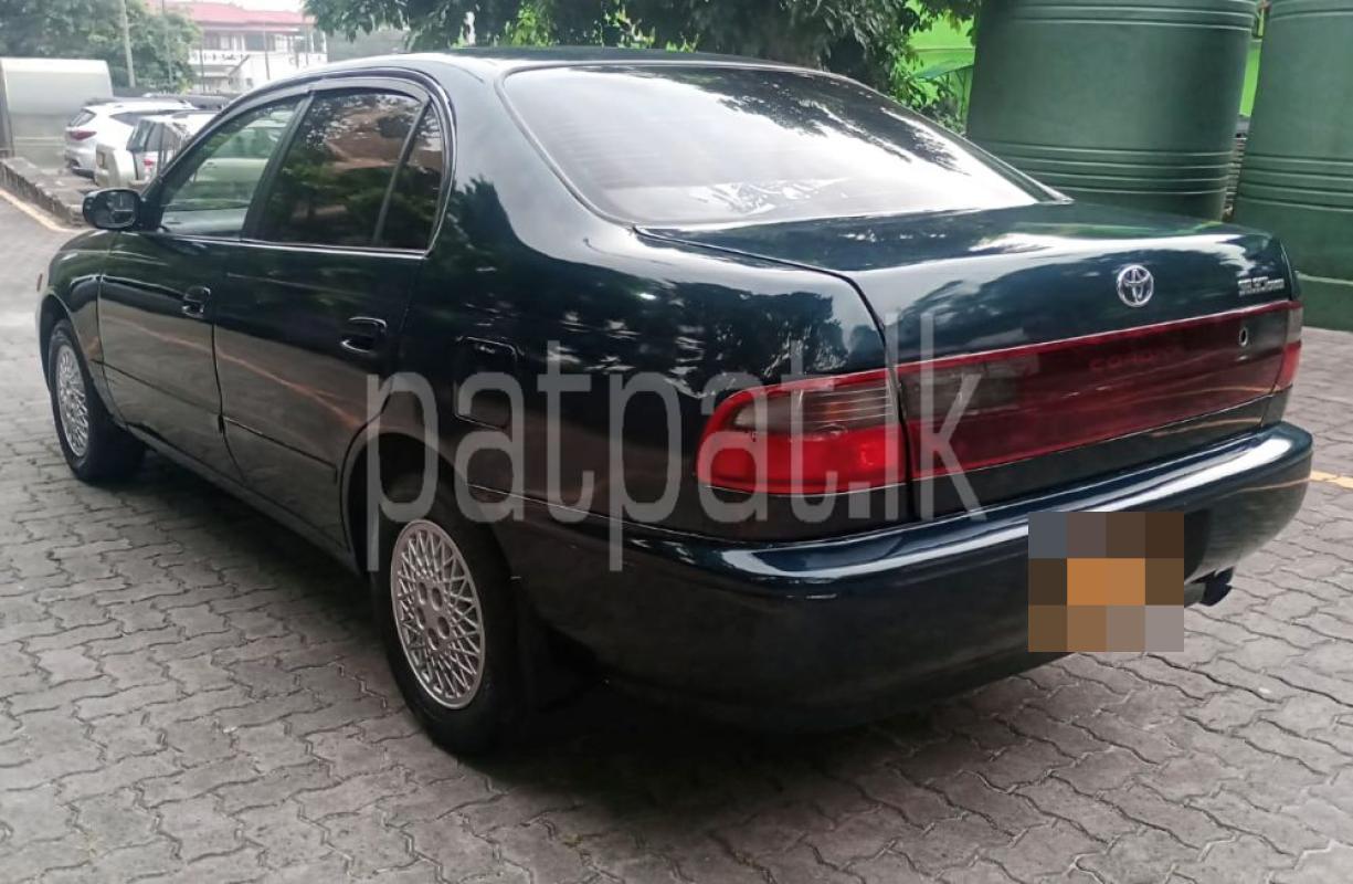 Advertisement image 5