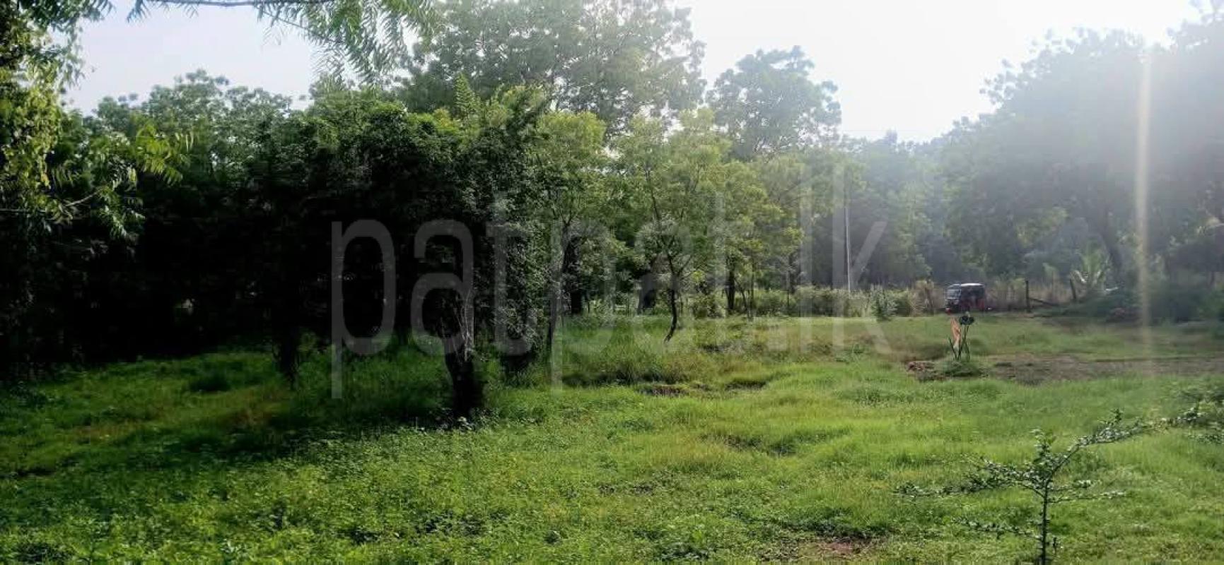 Residential Land for Sale in Kataragama ads-image-1