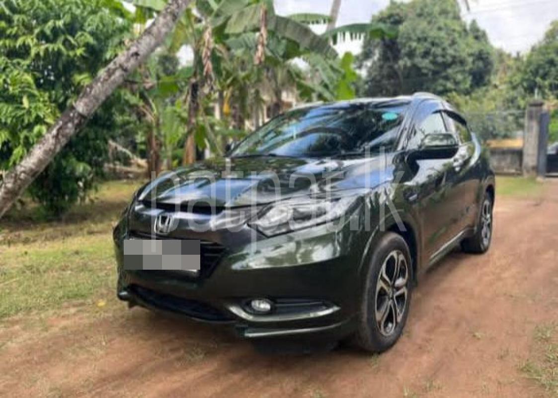 Advertisement image 3