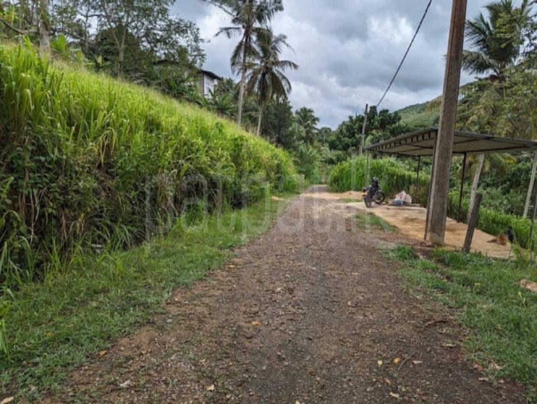 premium-listing-image