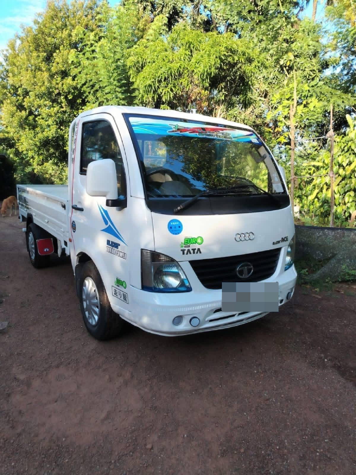 Tata Ace 2017 ads-image-1