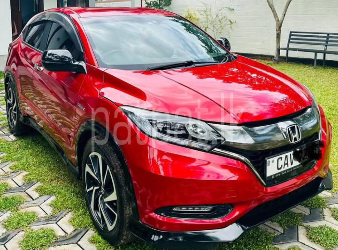 Advertisement image 3