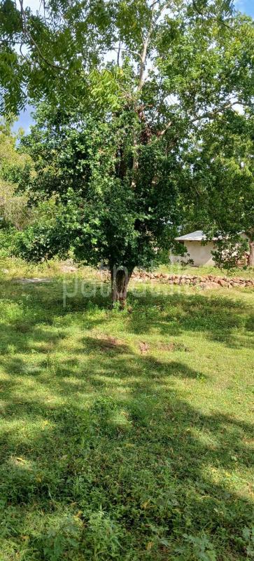 Residential Land for Sale in Kataragama