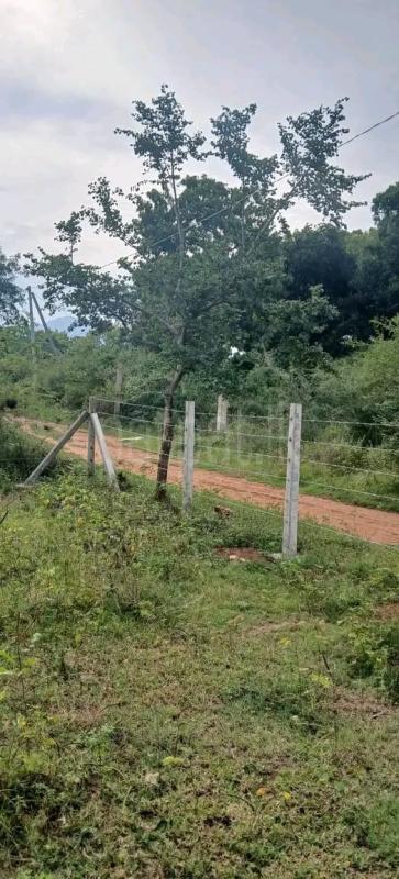 Commercial Land for Sale in Kataragama ads-image-1