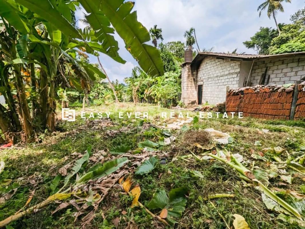 Residential Land for Sale in Kirindiwela