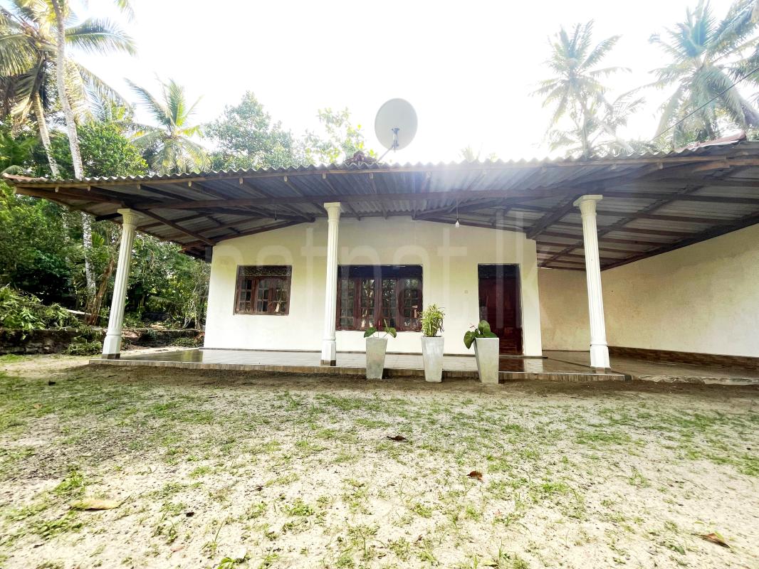 premium-listing-image