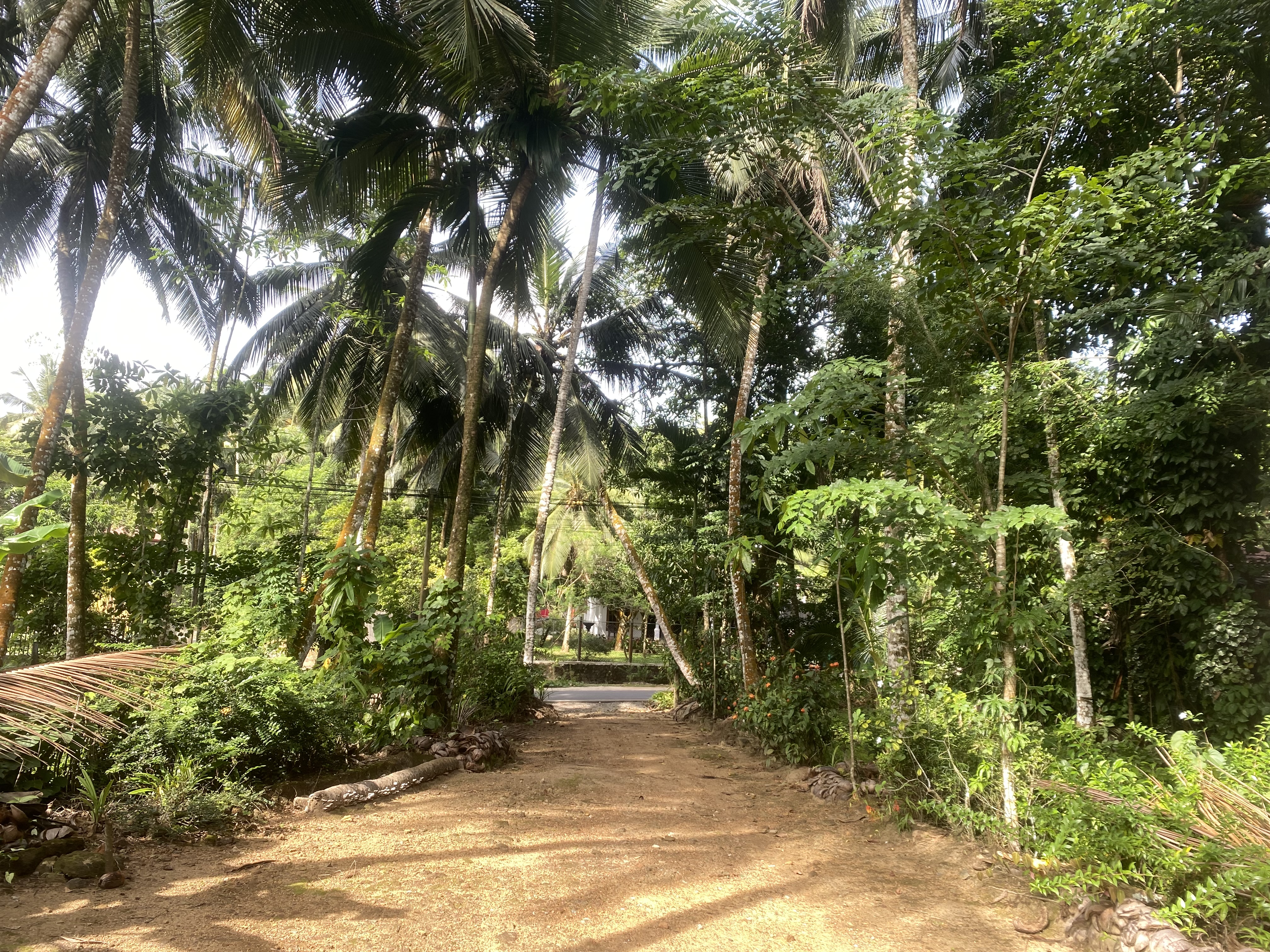 House for Sale in Govinna