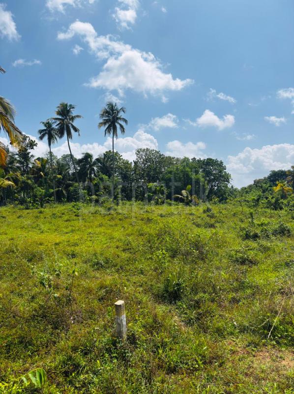 Agricultural Land for Sale in Kurunegala ads-image-1