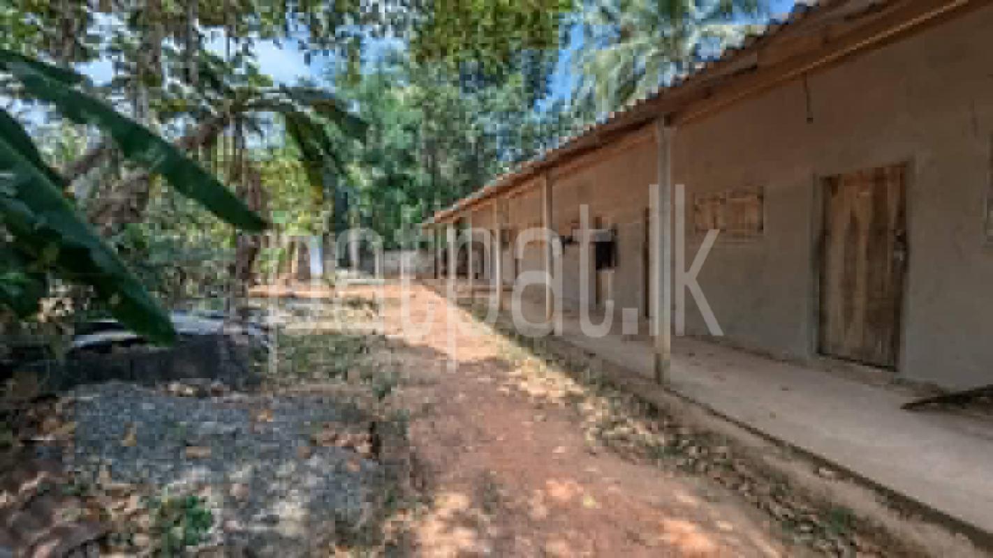 House for Sale in Wathurugama